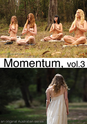 Momentum Vol. 3